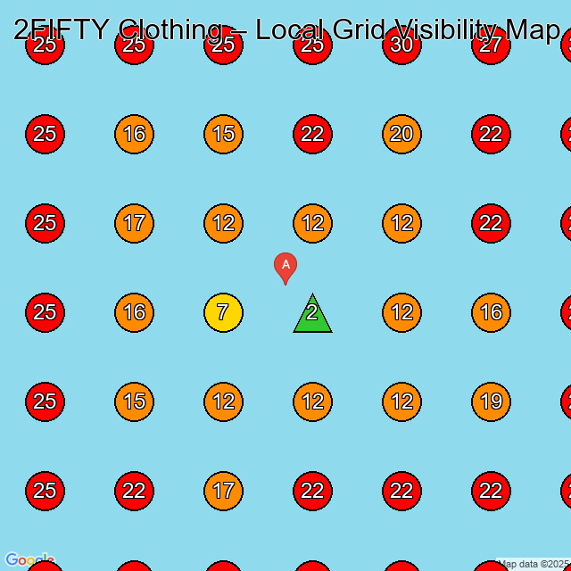 2FIFTY Clothing GeoGrid visibility map for Clothing Store in None